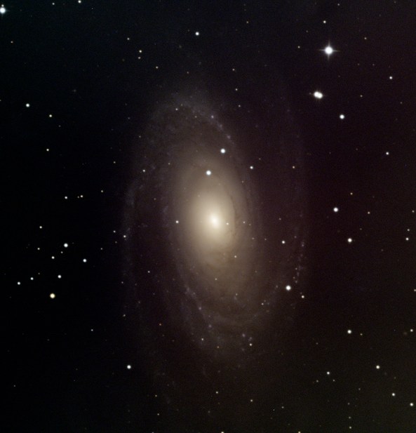 M-81