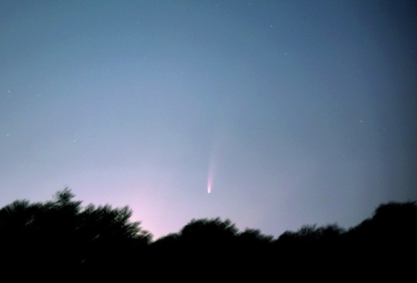 Comet C/2020 F3 NEOWISE