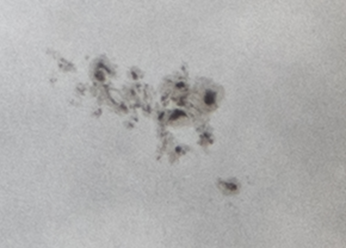 sunspot groups  3668 and 3664